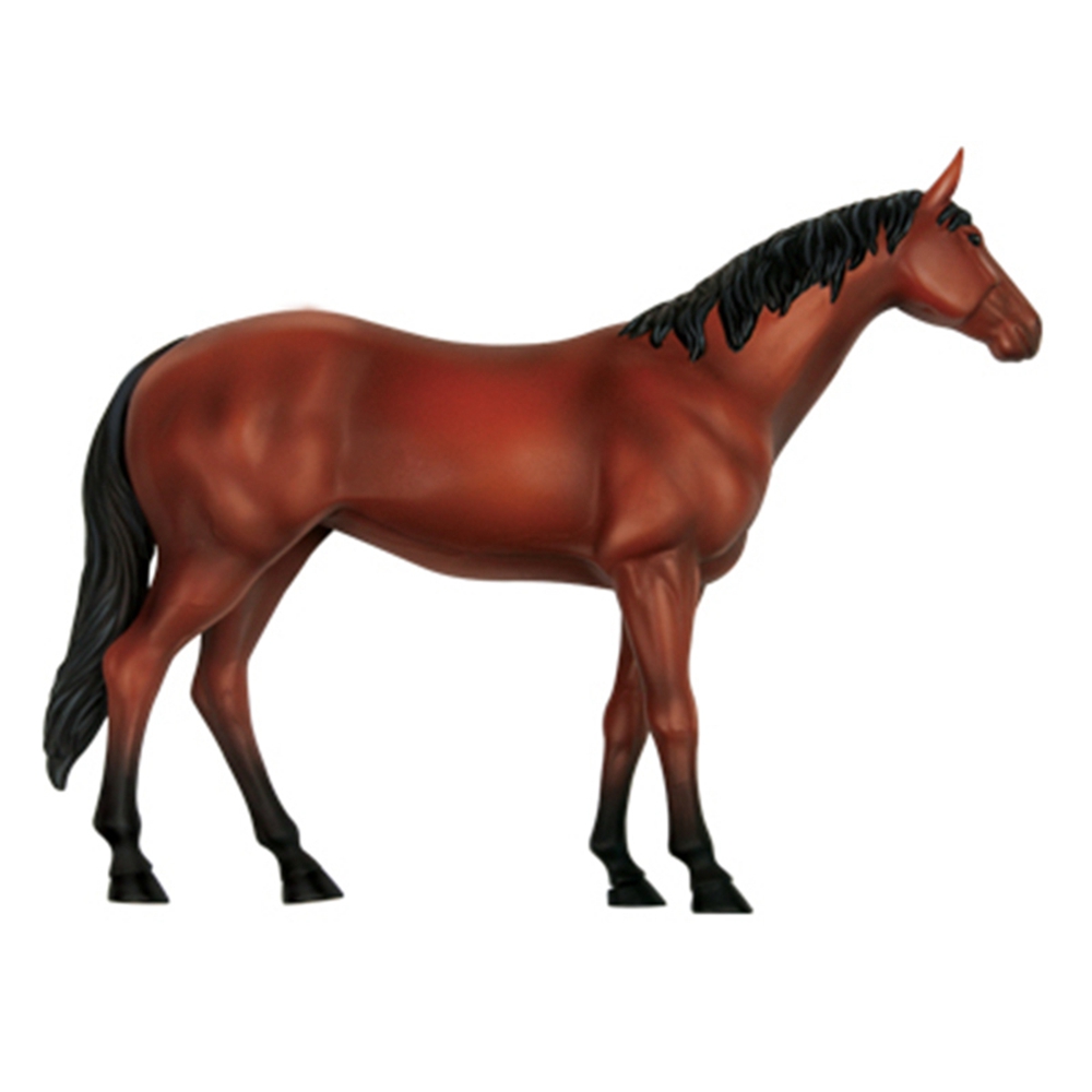 Animal Organ Anatomy Model 4D  - огляд і ціна Science Toys